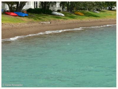 Petite plage