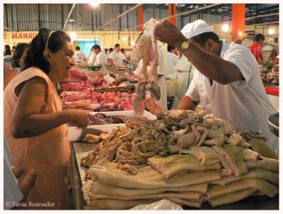 At the fish & meat market. Feel free to touch!