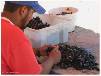 Preparing mussels