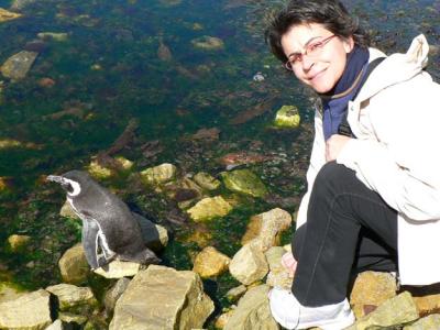 Close encounter with a tiny pinguino