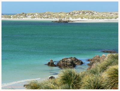 Gypsy Cove at Port Stanley