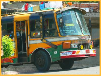 The local bus known as Chivas