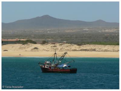 g4/97/544497/3/60778846.Goldensand.jpg
