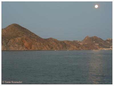 Moonlight at dawn