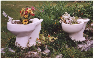 Bermudian arrangement of flowers