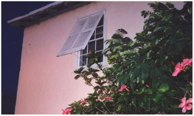Typical window