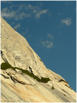 Avid climber in Yosemite