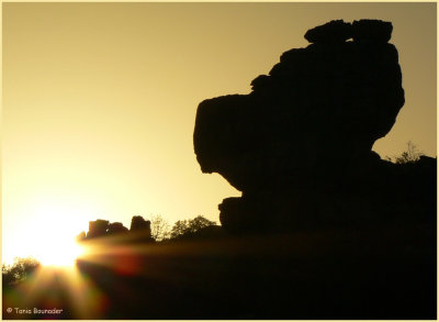 Dog shape rock at sunset