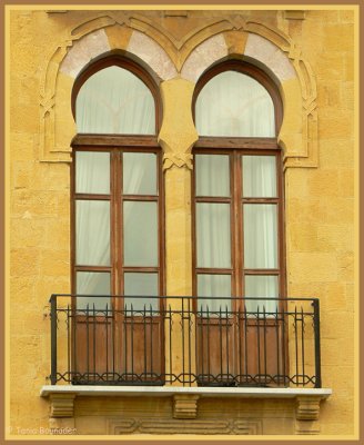 Modern yet typical windows