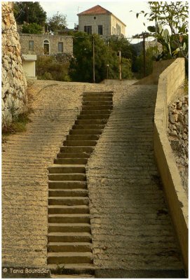 Looks like the steps go straight to the house 