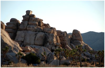 Piles of rocks