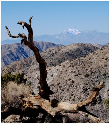 Sight from ''Keys View''