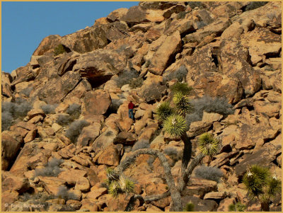 Strolling on the rocks