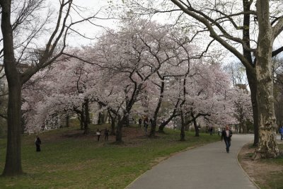 Central Park