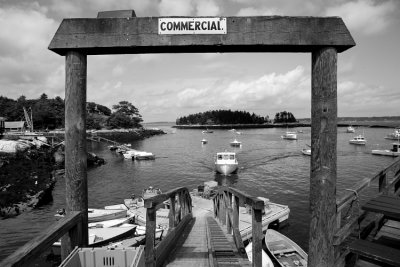 Harbor- Maine