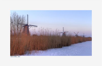 Kinderdijk - winter 2012