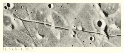 g4/97/570097/3/145607763.gnFdSVgn.jpg