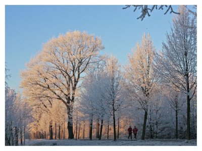 Winter Morning Jogging