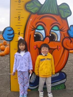 IMG_2768.JPG