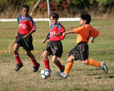 g4/97/592897/3/52083521.PbaseautoallHQIMG_5592autocontsharpHQ.jpg