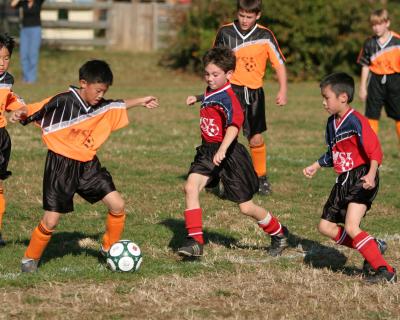 g4/97/592897/3/52083541.PbaseautoallHQIMG_5659autocontsharpHQ.jpg