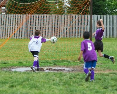IMG_3894_1.jpg