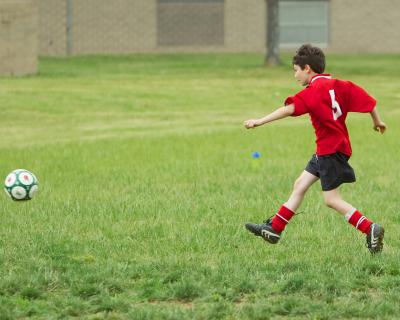 IMG_3981_1.jpg