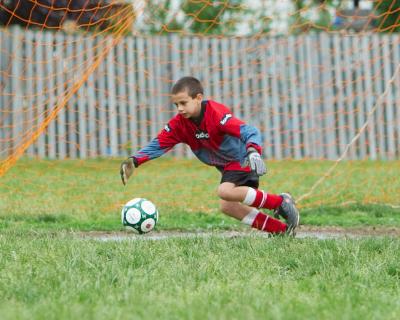 IMG_4036_1.jpg