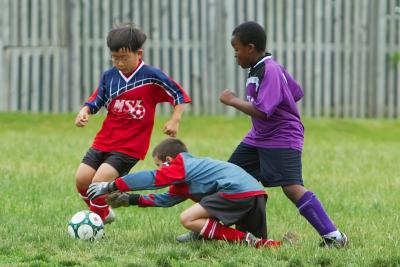 IMG_4073_1.jpg