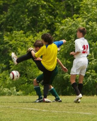 IMG_4329.jpg