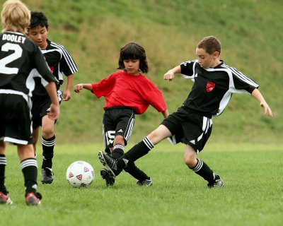 IMG_9313.jpg