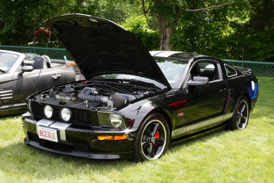 Late model Shelby Mustang