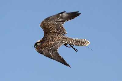 g4/97/639797/3/137944444.VIuLpQeD.jpg