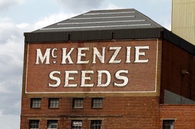 McKenzie Seeds...Brandon