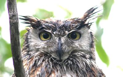 eye on you.jpg