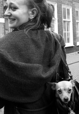Girl with dog in purse