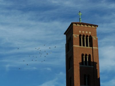 Birds and church tower