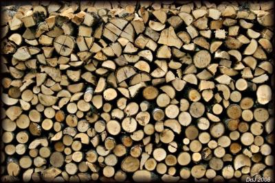 wood for winter