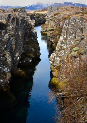 IMG_3689.jpg