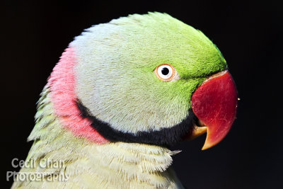 _M6F5759.jpg