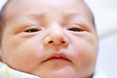 Dex001 2 days old.jpg