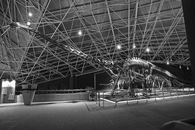 Y01Kunming009 Dinosaur Park.jpg