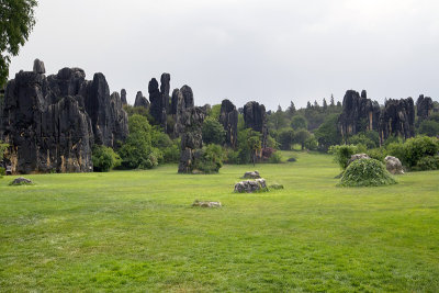 Y01Kunming017 Stone Forest.jpg