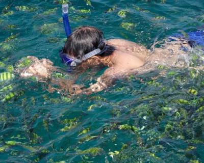 Island Hopping 07.jpg