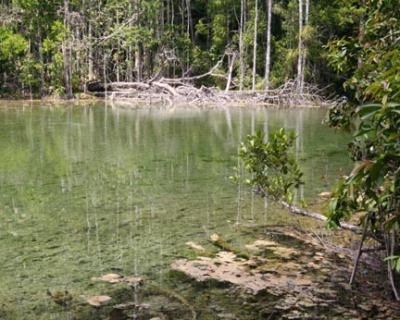 Crystal Pond 02.jpg