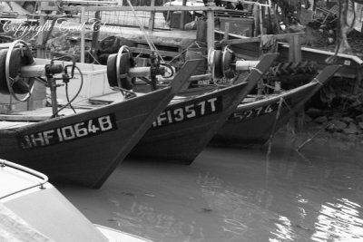 Pengerrang066-Fishing-Trawl.jpg