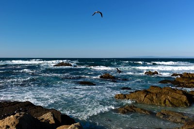 Monterey Bay, California