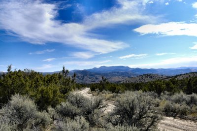 Desert trail  