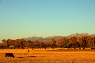 Valley glow  