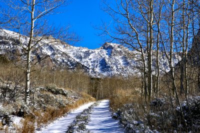 Fresh snow tracks  